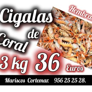 <STRONG>¡ OFERTA !</STRONG> Cigalas hembras de coral 3 kilos