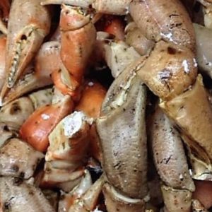 Bocas de Cangrejo – El Manjar Escondido