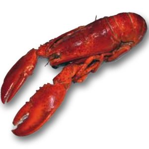 Bogavante Cocido de Canadá – El Sabor de la Distancia