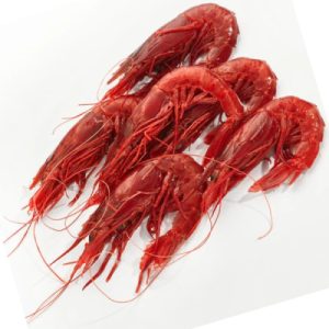 Carabineros Extra – La Joya Escarlata del Mar
