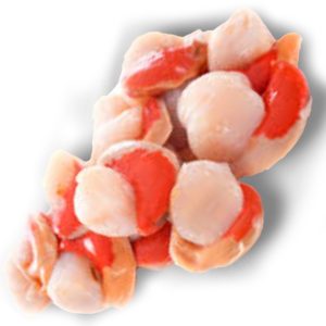 Carne de Vieira S/Agua – El Sabor Sin Diluir