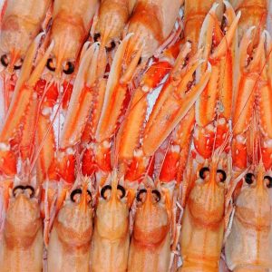 3 Kilos Cigalas Hembras 15/20p – OFERTA