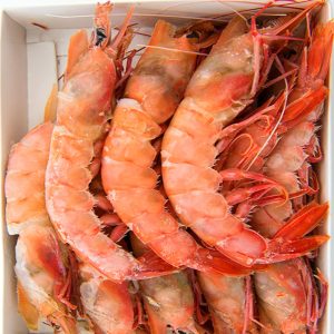 Gambón Crudo – N2 (ESTUCHE)