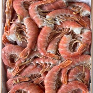 Gambón Cola Crudo – N2