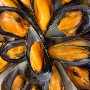 Mejillones Media Concha