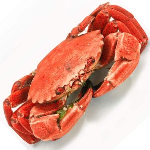 Nécoras Cocidas – Sabor del Noroeste, Sin Esperas