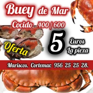 Buey de Mar - OFERTA